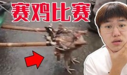 cc爆料狗哥视频,cc爆料背后的真实故事