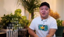 娱乐圈内大佬爆料,揭秘明星背后的惊人真相