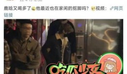 最新明星事件爆料视频,明星事件视频揭秘，真相令人震惊！