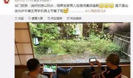 豪门吃瓜记录免费,揭秘吃瓜群众眼中的豪门生活