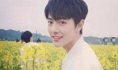 爆料杨紫肖战的博主视频,揭秘网友爆料背后的真相