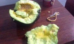 四川网红前十名吃瓜,揭秘前十名网红的幕后故事