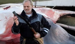 捕鲸电影在线观看