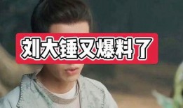 刘大锤爆料全程视频,揭秘事件真相与幕后黑幕