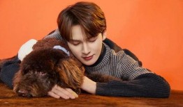 曦曦娱乐爆料,揭秘娱乐圈最新热点事件！